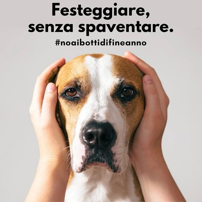 Invito a  evitare botti e fuochi per tutelare la salute di cittadini e animali